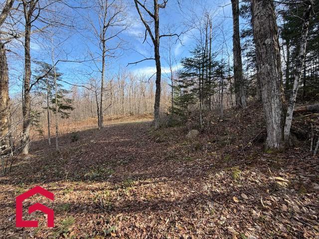 Terrain — photo 3