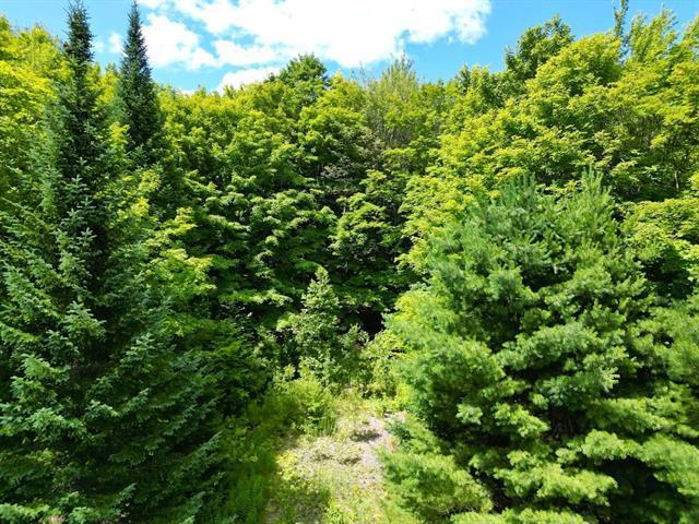 Terrain — photo 3