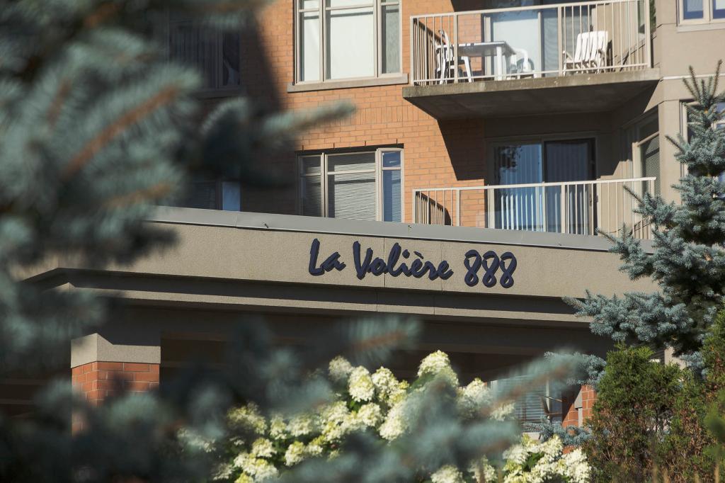 4 1/2 - Ste-Foy - immeuble de prestige - libre ou novembre