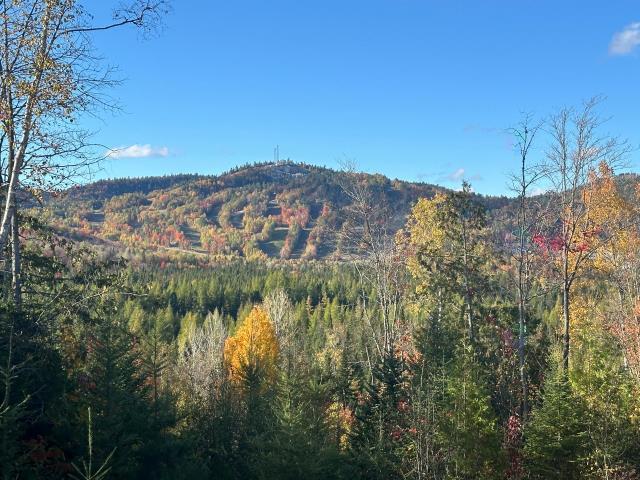 180 Chemin du Quartier du Cerf, Saint-Côme, QC, Canada — photo 1