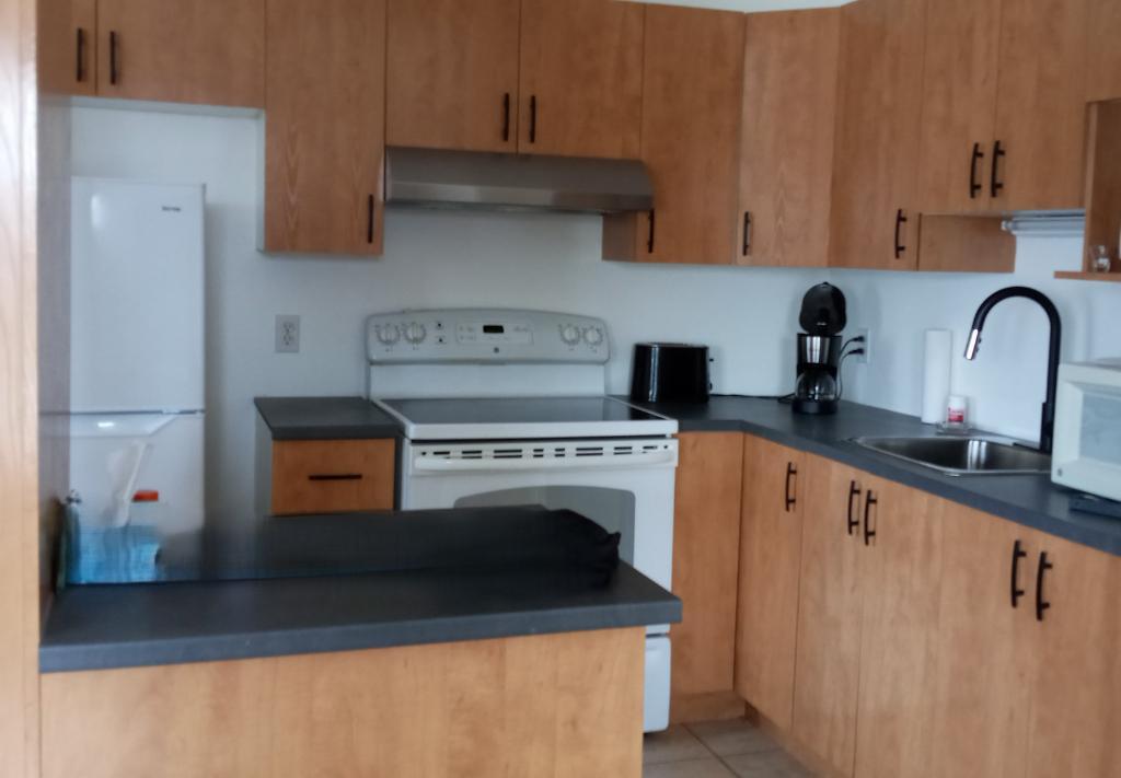 145 Rue Wilfrid Ranger — photo 2