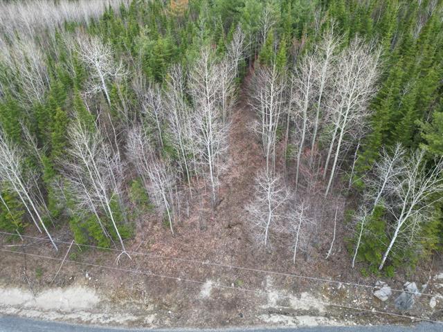 Terrain — photo 2