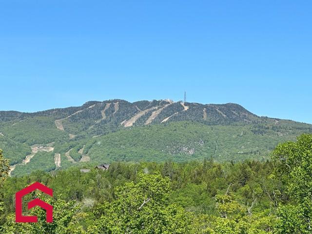 Terrain — photo 2
