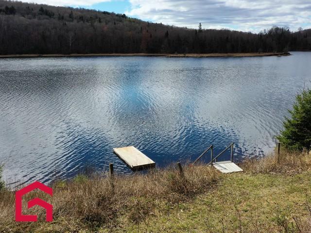 12787 Ch. du Lac-Kiamika — photo 3