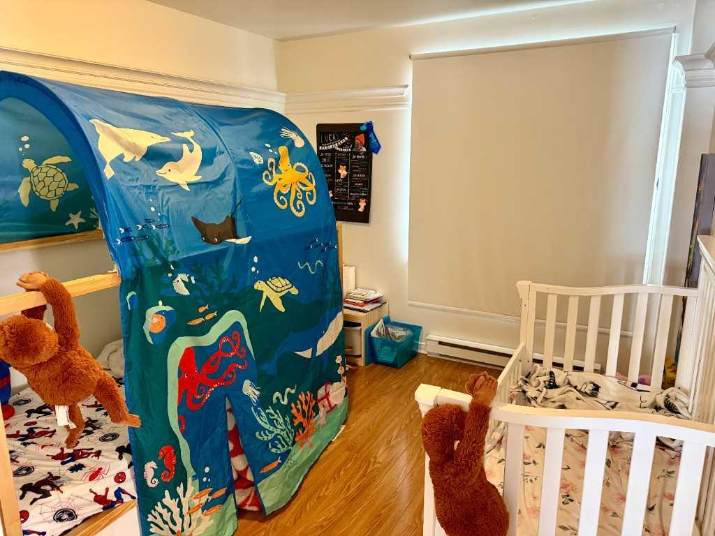 1066 Rue Marcil — photo 3