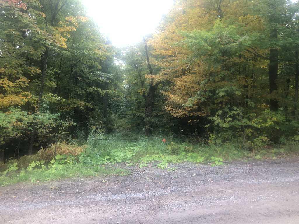 Terrain a vendre (domaine) — photo 3