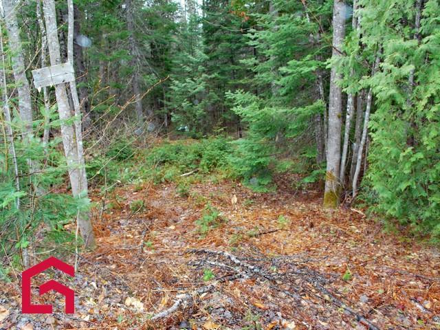 Terrain — photo 1