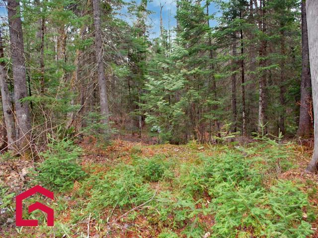 Terrain — photo 3