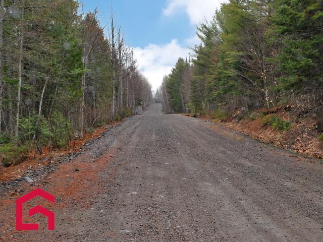 Terrain — photo 3