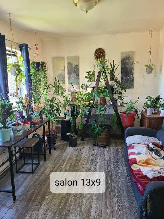 riviere rouge sous sol 4 1/2 secteur l'annonciation — photo 1