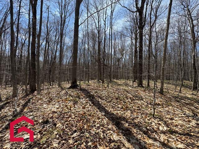 Terrain — photo 1