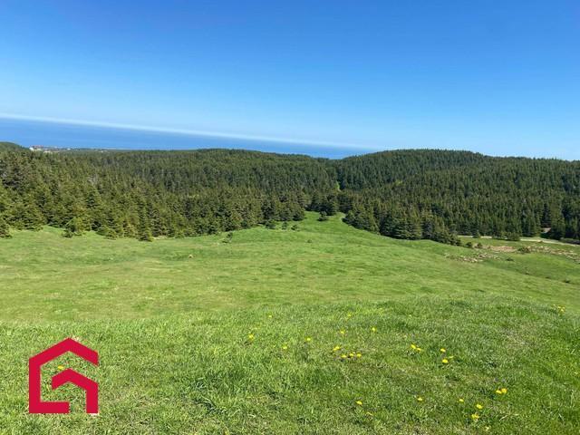 Terrain — photo 1