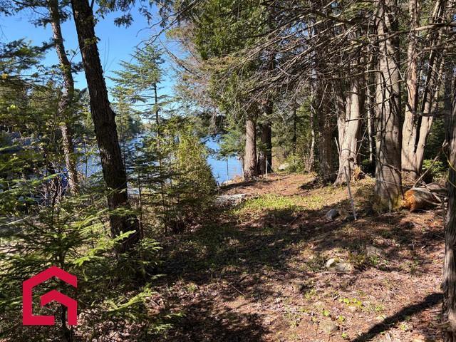 Terrain — photo 3