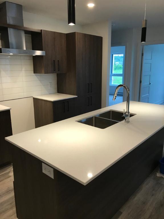 995 Rue Marie-Gérin-Lajoie — photo 3