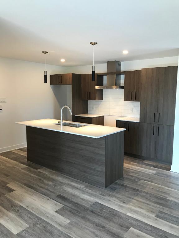995 Rue Marie-Gérin-Lajoie — photo 1