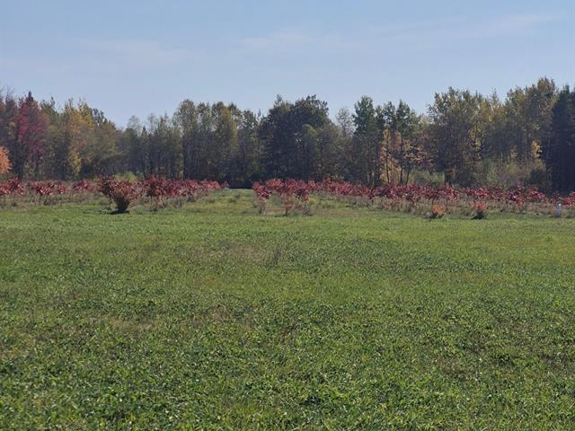754Z Rg Ste-Agathe — photo 3
