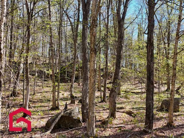 Terrain — photo 1