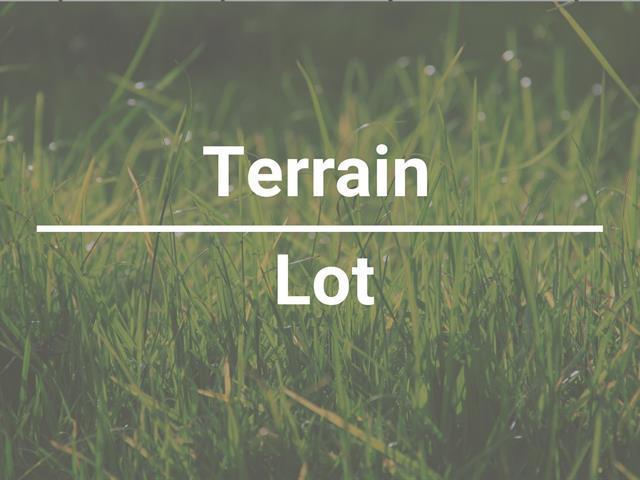 Terrain — photo 3