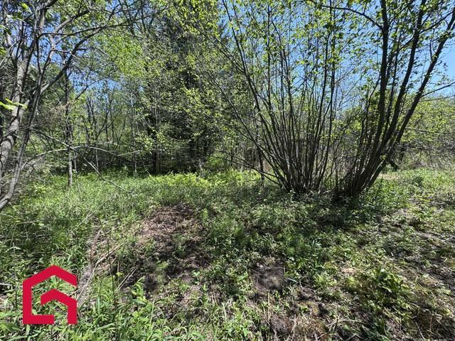 1790 Ch. Derome — photo 3