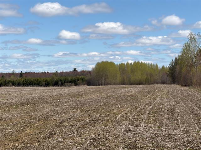 Terrain — photo 2