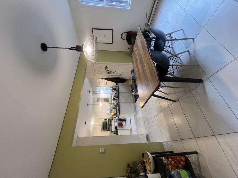 8 1/2 - Montréal (Hochelaga / Maisonneuve) - 2 350 $/mois — photo 1