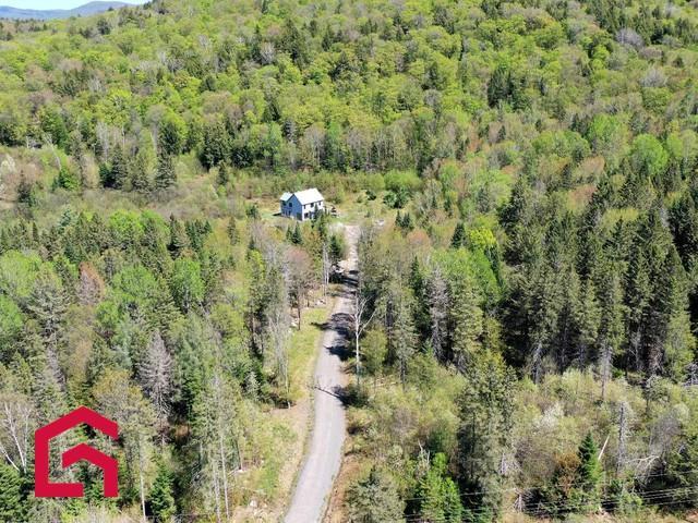 63Z Ch. Dubeau — photo 3