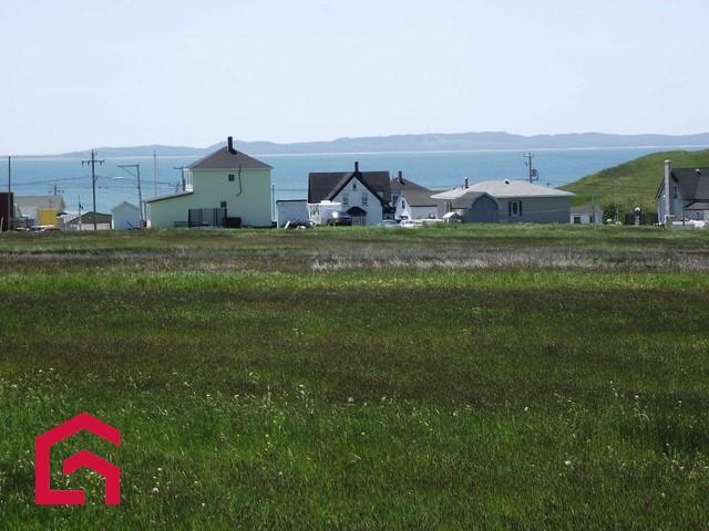 Terrain — photo 1