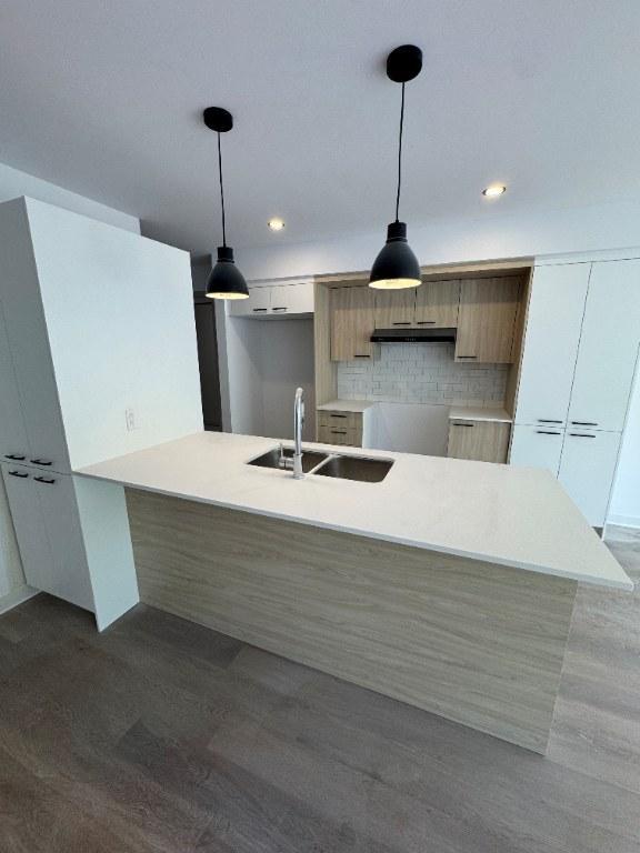 336 Rue Jean-Paul-Riopelle — photo 1