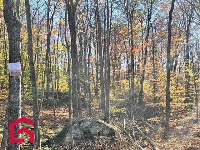 Terrain — photo 3