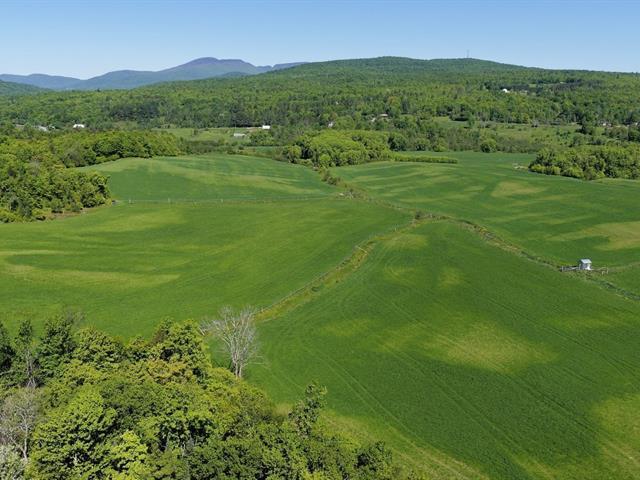 Potton (Estrie) : Terre agricole et à bois de 247,11 acres — photo 3