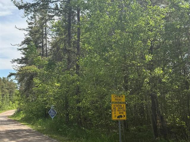 32e Chemin — photo 3