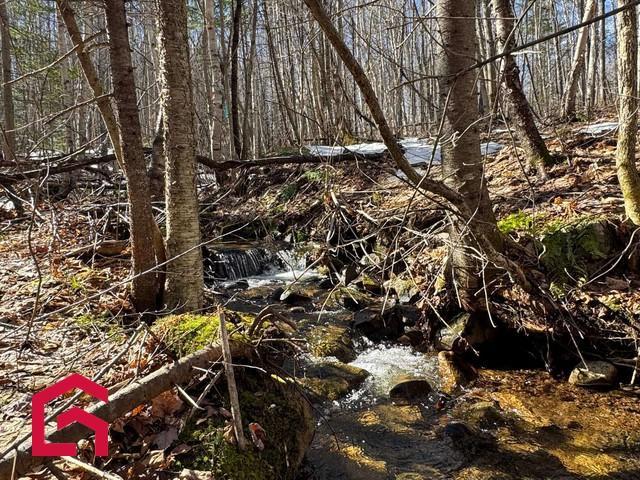 Terrain — photo 2