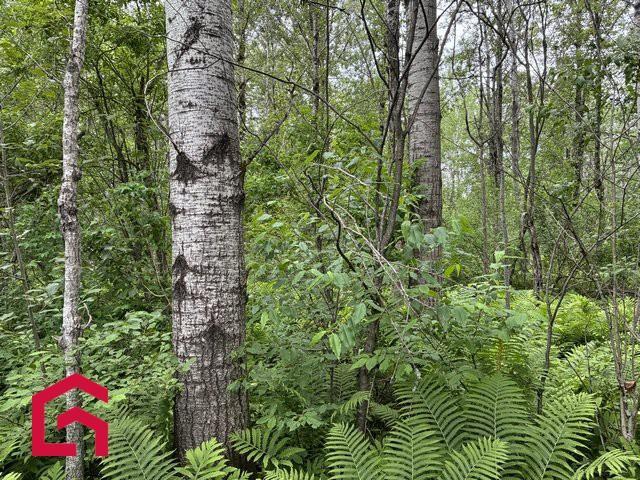 Terrain — photo 3