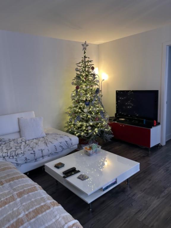 4 1/2, Tétreaultville (Mercier Hochelag Maisonneuve) 2015 5