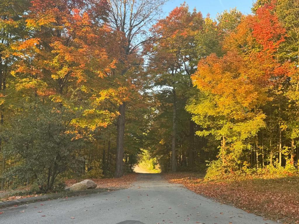 29 Petite Ligne, Saint-Alexis, QC, Canada — photo 3