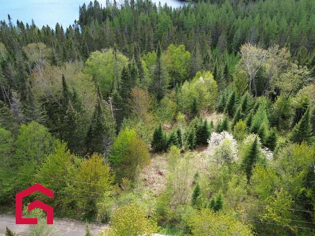 Terrain — photo 3