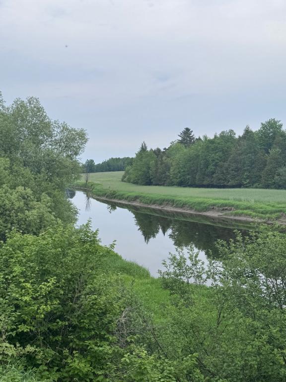 1693, route des Rivières — photo 2
