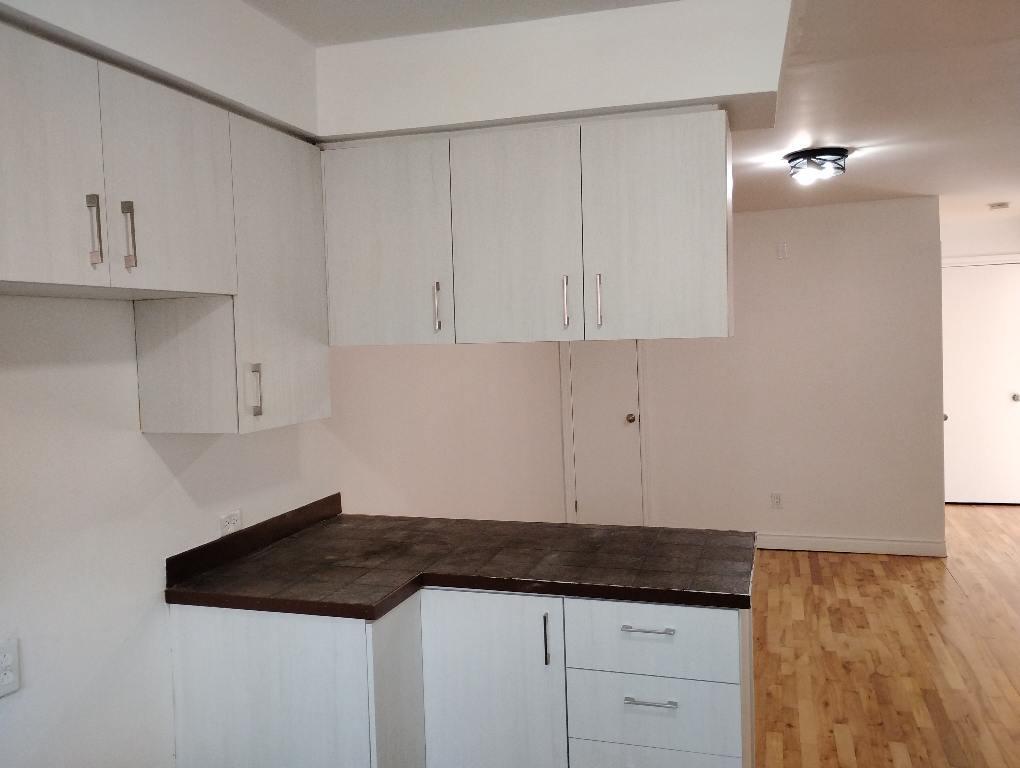 5557 Rue Paul-Pau — photo 2