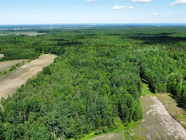 Bécancour (Centre-du-Québec) : Terre agricole de 73 acres, 50 acres en culture, loam sablonneux, forêt mixte, ruisseau — photo 2