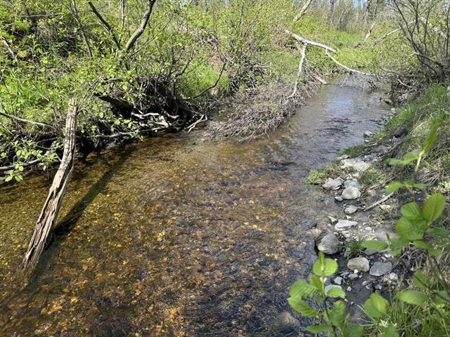 Ste-Praxède, Chaudière-Appalaches. Grand terrain de 180 140 pi.ca. en zonage BLANC. Hydro disponible, borné par le Ruisseau Jackman. — photo 2