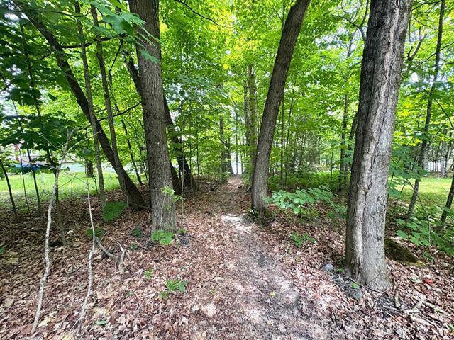 Terrain — photo 2
