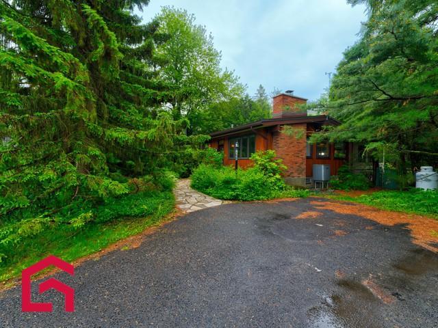 168 Rue Helen — photo 2