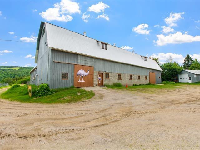 710Z 710AZ Rue St-Édouard — photo 3