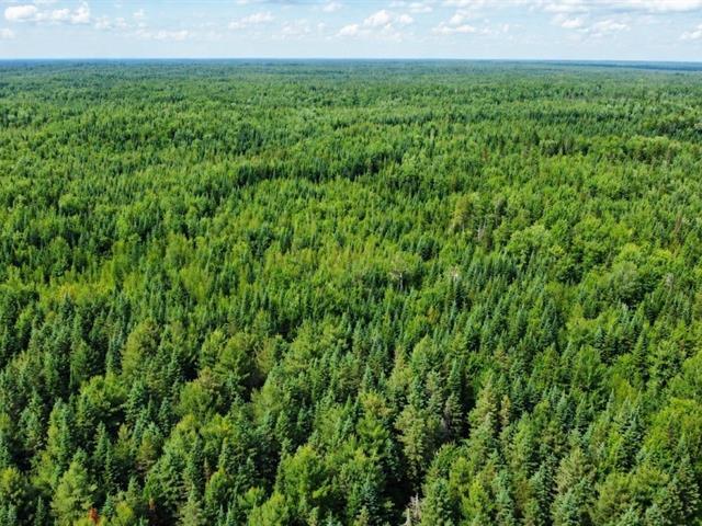 Lemieux (Centre-du-Québec) : Terre à bois de 178 acres, territoire de chasse chevreuil et orignal, potentiel forestier — photo 1