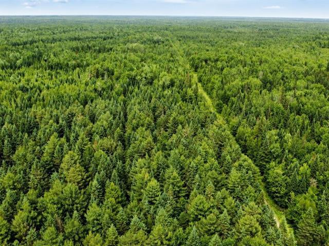 Lemieux (Centre-du-Québec) : Terre à bois de 178 acres, territoire de chasse chevreuil et orignal, potentiel forestier — photo 2