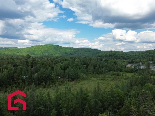 Terrain — photo 1