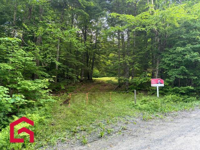 Terrain — photo 3