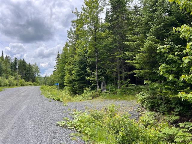 Lac de la Héronnière, Stratford en Estrie. Beau terrain boisé avec ACCÈS notarié au lac à +-400m. Superficie de 45 747 pi.ca. Secteur très paisible! — photo 1
