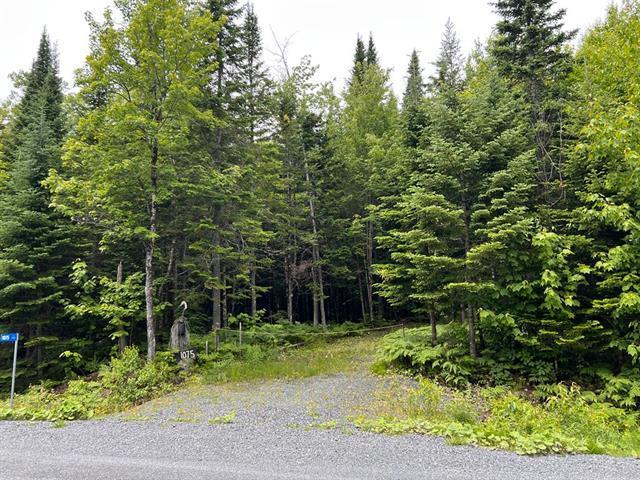 Lac de la Héronnière, Stratford en Estrie. Beau terrain boisé avec ACCÈS notarié au lac à +-400m. Superficie de 45 747 pi.ca. Secteur très paisible! — photo 2
