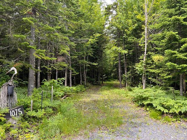 Lac de la Héronnière, Stratford en Estrie. Beau terrain boisé avec ACCÈS notarié au lac à +-400m. Superficie de 45 747 pi.ca. Secteur très paisible! — photo 3